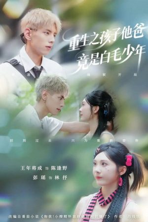 重生之孩子他爸竟是白毛少年 (2025) poster