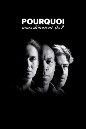 Pourquoi nous détestent-ils ? (2016) poster