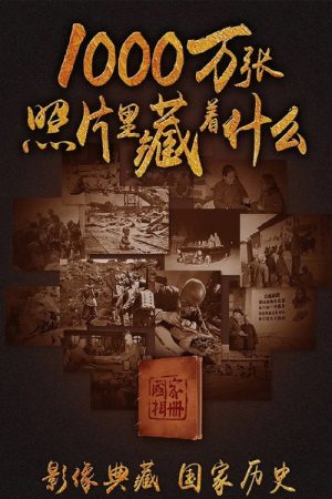国家相册 (2016) poster