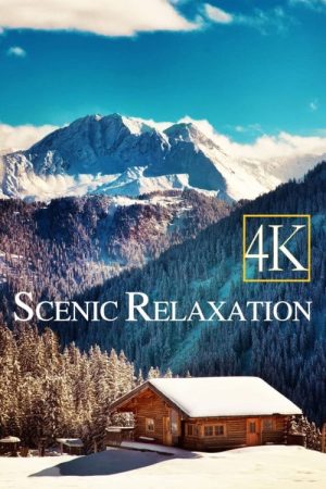 4K – Scenic Relaxation Film (2022) poster