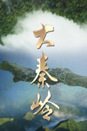 大秦岭 (2023) poster