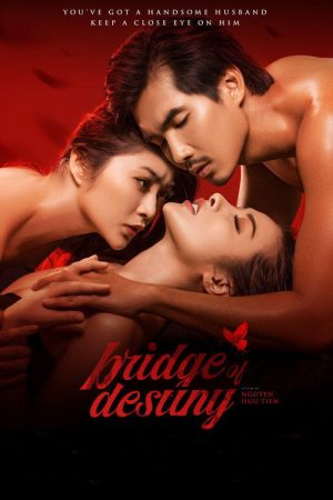 Bridge of Destiny (2020) poster