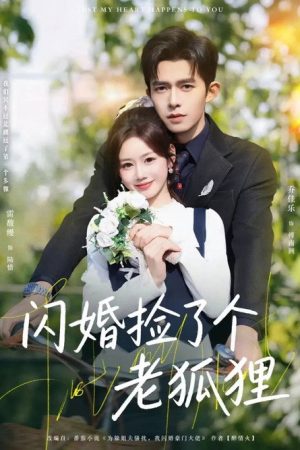 閃婚撿了個老狐狸 (2025) poster