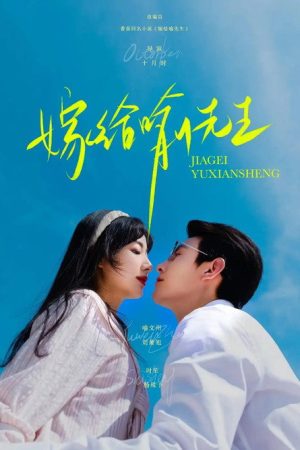 嫁给喻先生 (2025) poster
