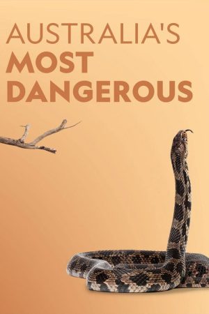 Australia’s Most Dangerous (2019) poster