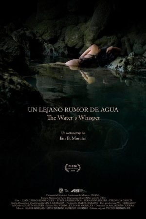 The Water’s Whisper (2020) poster