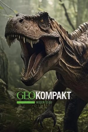 GEO kompakt poster