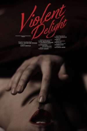 Violent Delight (2026) poster