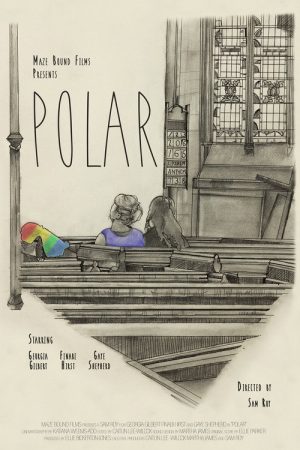 Polar (2026) poster