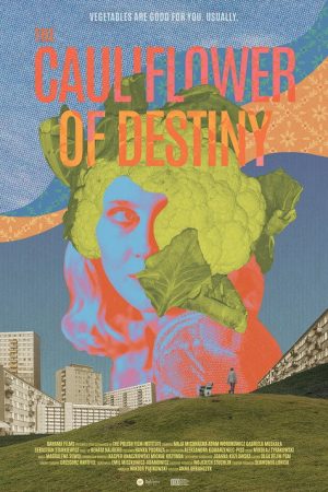 The Cauliflower of Destiny (2026) poster