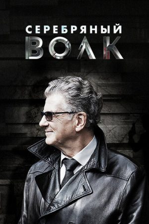 Silver Wolf (2022) poster