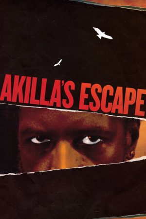 Akilla’s Escape (2021) poster