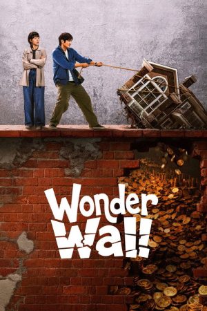 Wonder Wall (2026) poster