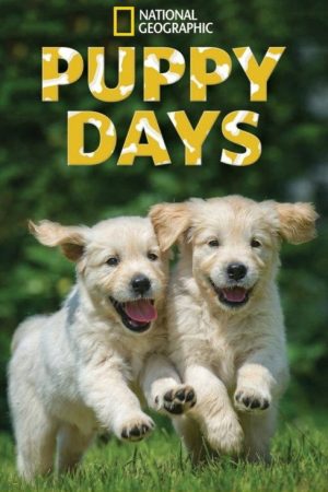 Puppy Days (2017) poster
