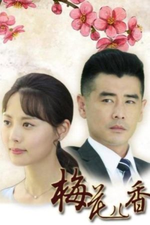 梅花儿香 (2017) poster