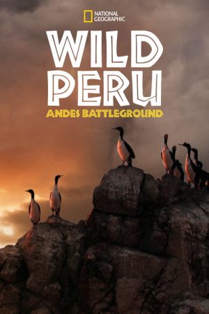 Wild Peru: Andes Battleground (2018) poster