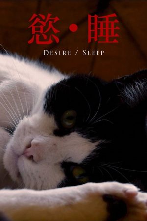 Desire/Sleep (2026) poster