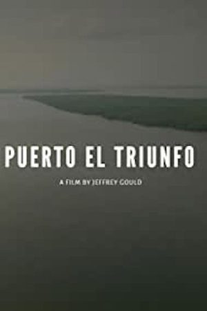 Port Triumph (2017) poster