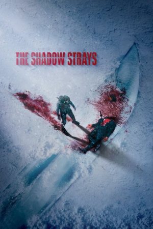 The Shadow Strays (2024) poster