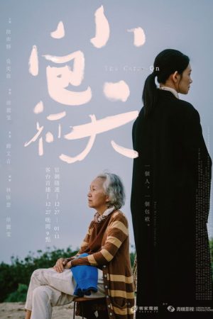 The Carry-On (2026) poster