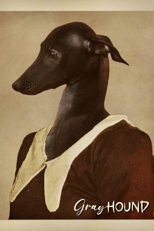 Gray Hound (2026) poster