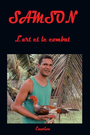 Samson art and combat (2017) poster
