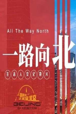 一路向北之北京北京 (2020) poster