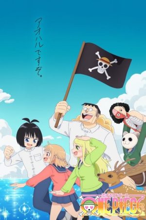 One Piece in Love (2025) poster