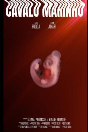 Cavalo Marinho (2019) poster