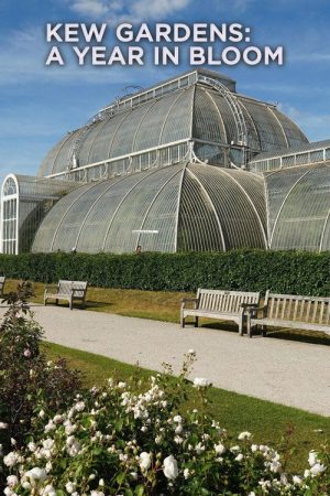 Kew Gardens: A Year in Bloom (2021) poster