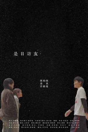 Pleasant Visit (2026) poster