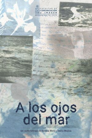 A los ojos del mar (2026) poster