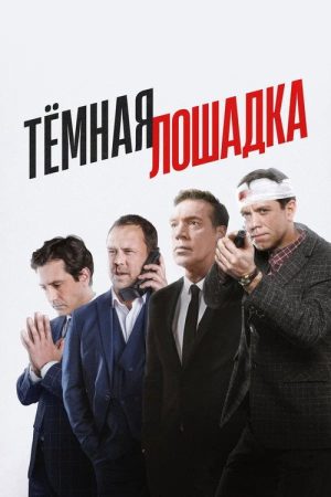 Тёмная лошадка (2025) poster