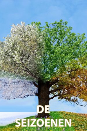 De Seizoenen (2023) poster