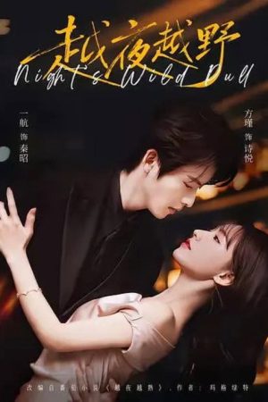 越夜越野 (2026) poster