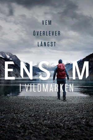Alone Sweden (2021) poster