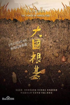 大国根基 (2018) poster