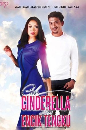 Cik Cinderella dan Encik Tengku (2016) poster