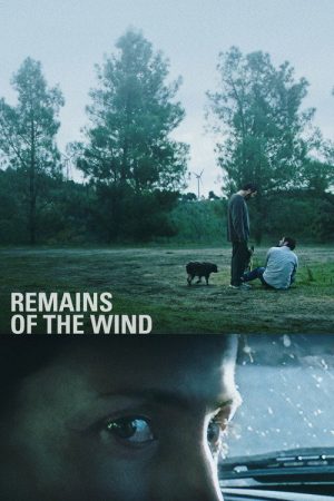 Remains of the Wind (2022) poster