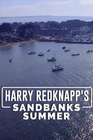 Harry Redknapp’s Sandbanks Summer (2020) poster