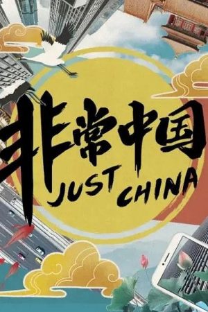 非常中国 (2019) poster