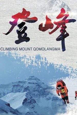 登峰 (2020) poster