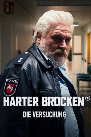 Harter Brocken: Die Versuchung (2026) poster