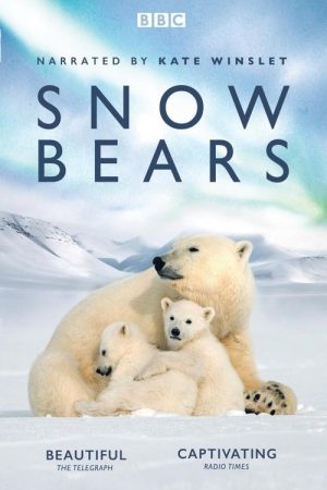 Snow Bears (2017) poster