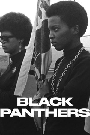 Black Panthers (2020) poster