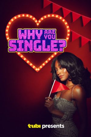 Why Are You Single? (2026) poster