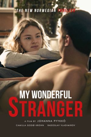 My Wonderful Stranger (2024) poster