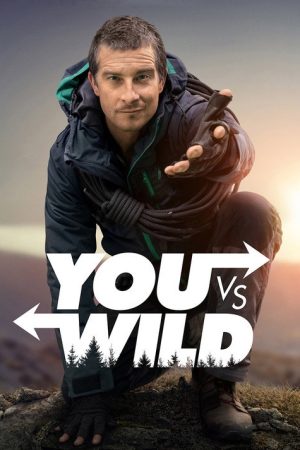 You vs. Wild (2019) poster