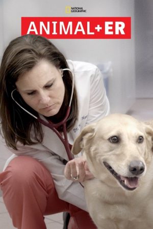 Animal ER (2016) poster