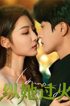 纵她过火 (2025) poster